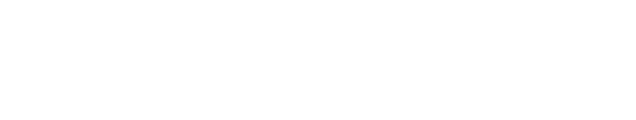 IAReviso